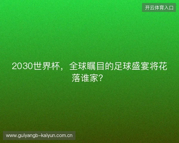2030世界杯，全球瞩目的足球盛宴将花落谁家？